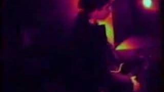 14 iced bears 'Mother Sleep'