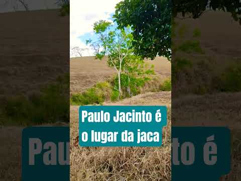 Paulo Jacinto Alagoas