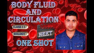 Body fluid and circulation in one shot| circulation class 11| Heart structure and function