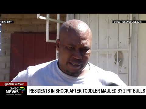 Residents in shock after three-year-old boy mauled to death by a dog at Hennenman in the Free State