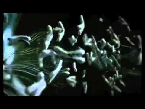 Benoit Cassar & Vince Brunello - New Inner Life