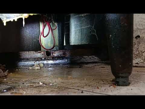 Dirty Kitchen Infested with Mice & Drain...