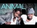 Animal - RIO 