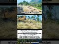 Land For Sale Kerala Border Kanyakumari District Tamilnadu 55km Distance From Trivandrum Central