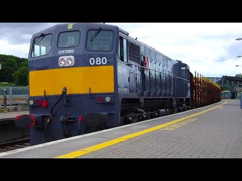 IE 071 Class locomotive 080 on a Laden Timber Train - Portarlington, Laois