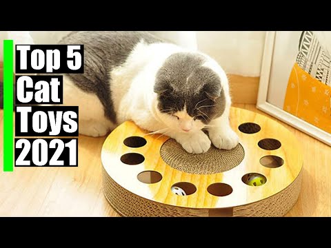 Best  Cat Toys  | Top 5 Toys for  cats 2021