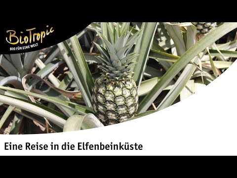 BioTropic: Eine Reise in die Elfenbeinküste (2018)
