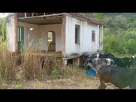 CONHECENDO O POVOADO DE SARANDI DISTRITO DA CIDADE DE SENADOR CORTÊS 