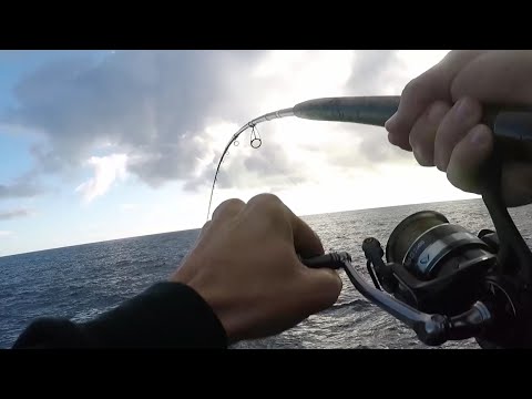 SHORE JIGGING 2025 pt.1