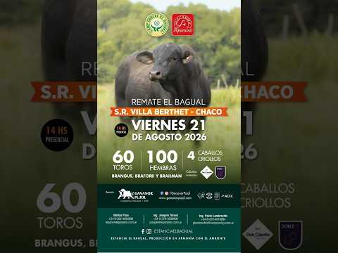 REMATE EL BAGUAL SOC. RURAL VILLA BERTHET  - CHACO