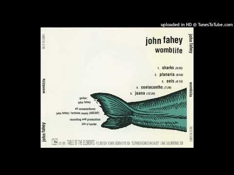 john fahey & jim o'rourke - planaria [1997]