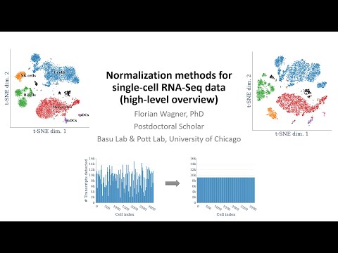 Normalization methods for single-cell RNA-Seq data (high-level overview)
