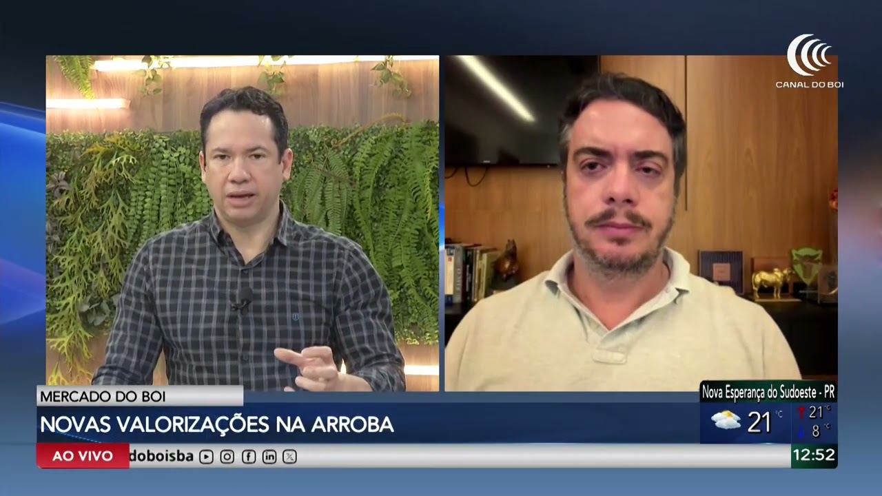 Arroba do boi gordo registra novas valorizações