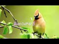 Rathri Velalo Telugu Whatsapp Status Telugulyrics Lovestatus Trendingsong Sanpagi Lovefeeling
