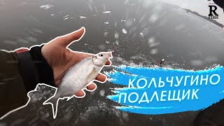 Зимняя рыбалка в кольчугино 2019