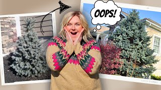 The TRUTH about Landscaping your Yard and Garden | What No One Tells You!