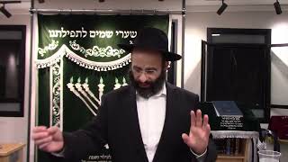 מהם התנאים לקיום מצות פרו ורבו