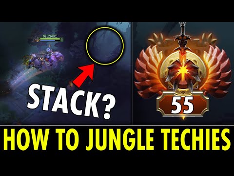 INSANE RANK 55 TECHIES!! SHOW YOU HOW TO GET TOP NETWORTH IN 9K MMR | TECHIES OFFICIAL