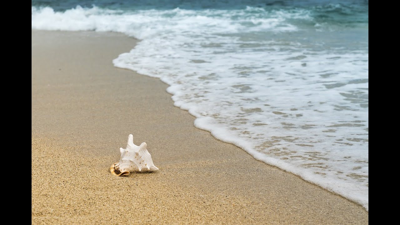 תקציר הממצאים (עד 10.24)