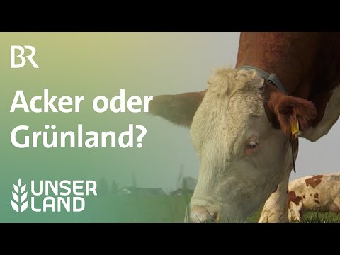 Wo Gras wächst: Acker oder Grünland? | Unser Land | BR Fernsehen