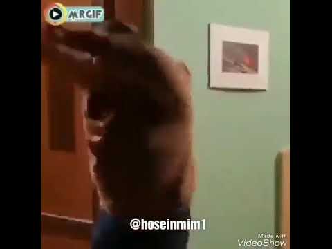 Just only 1 minutes veido but so funny dancing 😂