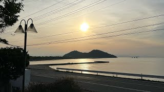 朝から庭に出たり入ったりの忙しさ🐈🐈🐈⬛😺