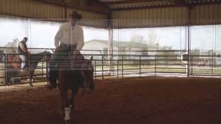 Freeing Horses Front-End While Stopping - Pete Kyle