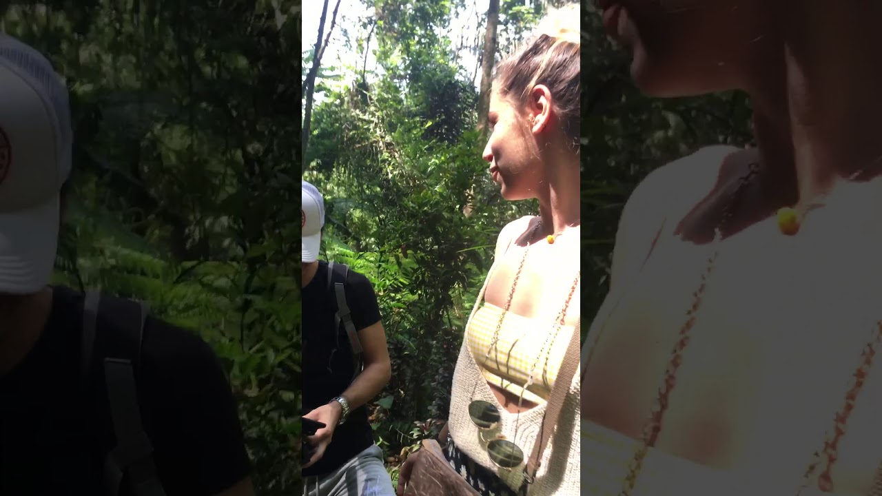 Leke-Leke Waterfall with Indo Bali Tour