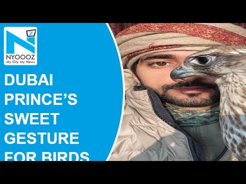 Dubai Crown Prince abandons Mercedes SUV for birds