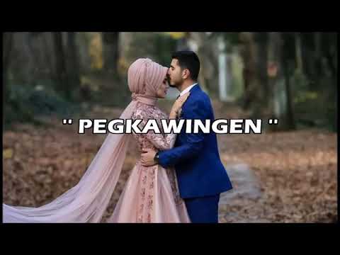 PEGKAWINGEN- NYT LUMENDA || Jie lyrics video