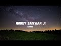 Morey Saiyaan Ji (Lyrics) : Maninder Buttar | Jasmin Bhasin | Jaani | BPraak | Adil S |