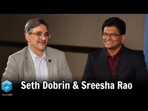 Sreesha Rao, Niagara Bottling & Seth Dobrin, IBM  | Change The Game: Winning With AI 2018