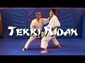 TEKKI NIDAN BUNKAI KARATE SHOTOKAN