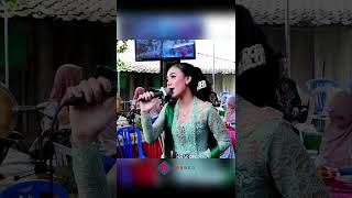 Download lagu Langgam NGIMPI ( Sripat - Sripit ) Alusan #fyptiktok #viralvideo #koplo #livestream #dangdut mp3