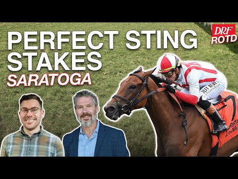 Perfect Sting Stakes @ Saratoga | DRF Friday ROTD | August 29, 2025