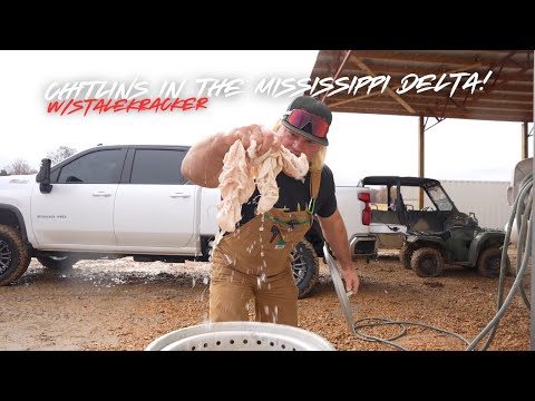 Chitlins in The Mississippi Delta!!!