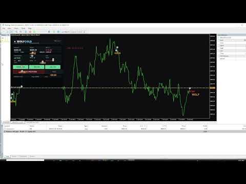 Video Wolf Gold EA