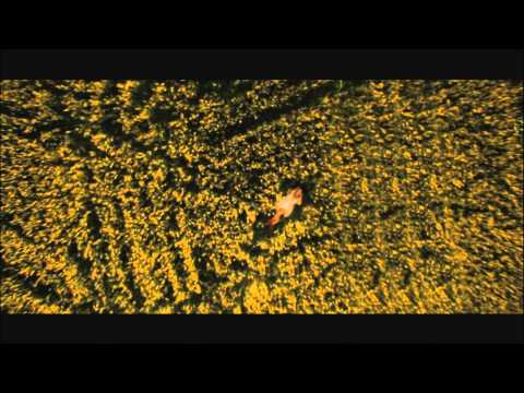 Sasha Lopez feat. Ale Blake & Broono - Everybody Feels Alright [Video Full HD]