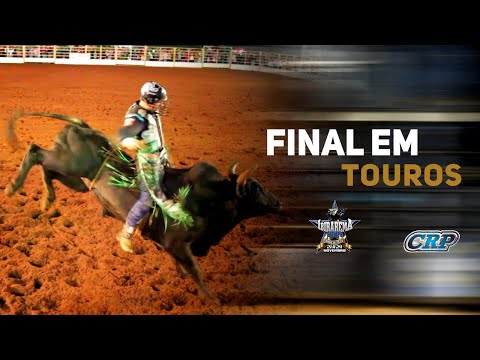 BULL RIDING FINAL - Ibirarema Rodeo Fest 2019