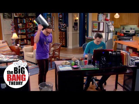Spoiler Alert! | The Big Bang Theory