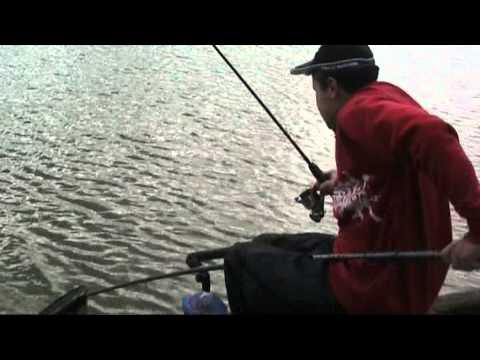 How to fish the Pellet Waggler- More float fishing success!