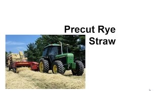 Rye Straw