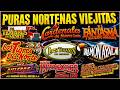💥PURAS NORTEÑAS VIEJITAS MIX 🔥Puros Clásicos | Tigres, Tucanes, Ramón Ayala ,Invasores, Cardenales DEFAULT Thumbnail
