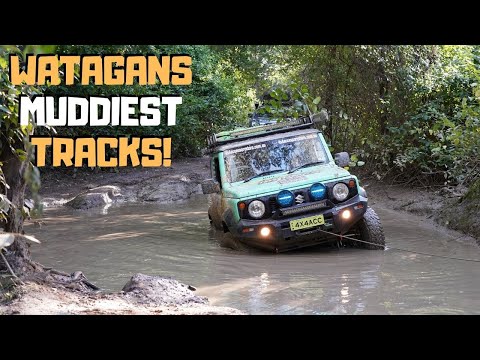 2020 SUZUKI JIMNY PUT TO THE TEST OFF-ROAD - Watagans 4wd trip, Australia's toughest tracks