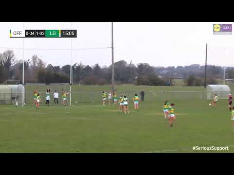 Highlights of Offaly v Leitrim