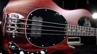 Video thumbnail for Product Spotlight - Sterling By MusicMan S.U.B.  Ray4 Electric Bass by Guitar Center