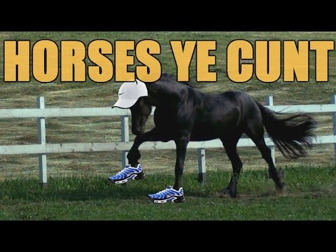 horsies r sick cunts