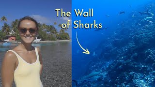 South Pacific Sailing: Diving with Sharks in the Tuamotus