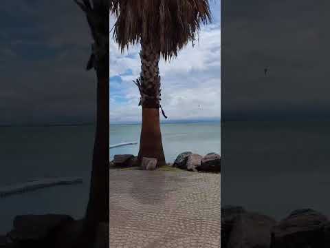 Miramar de Amsenuza, a 10km de R17 desvía en Marull por R196 Córdoba 