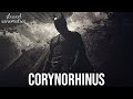 Batman Begins - Corynorhinus | SLOWED + REVERB | Hans Zimmer & James Newton Howard